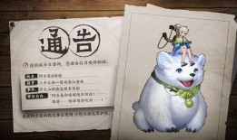 阿古朵爆料全集视频,揭秘游戏幕后故事与精彩瞬间